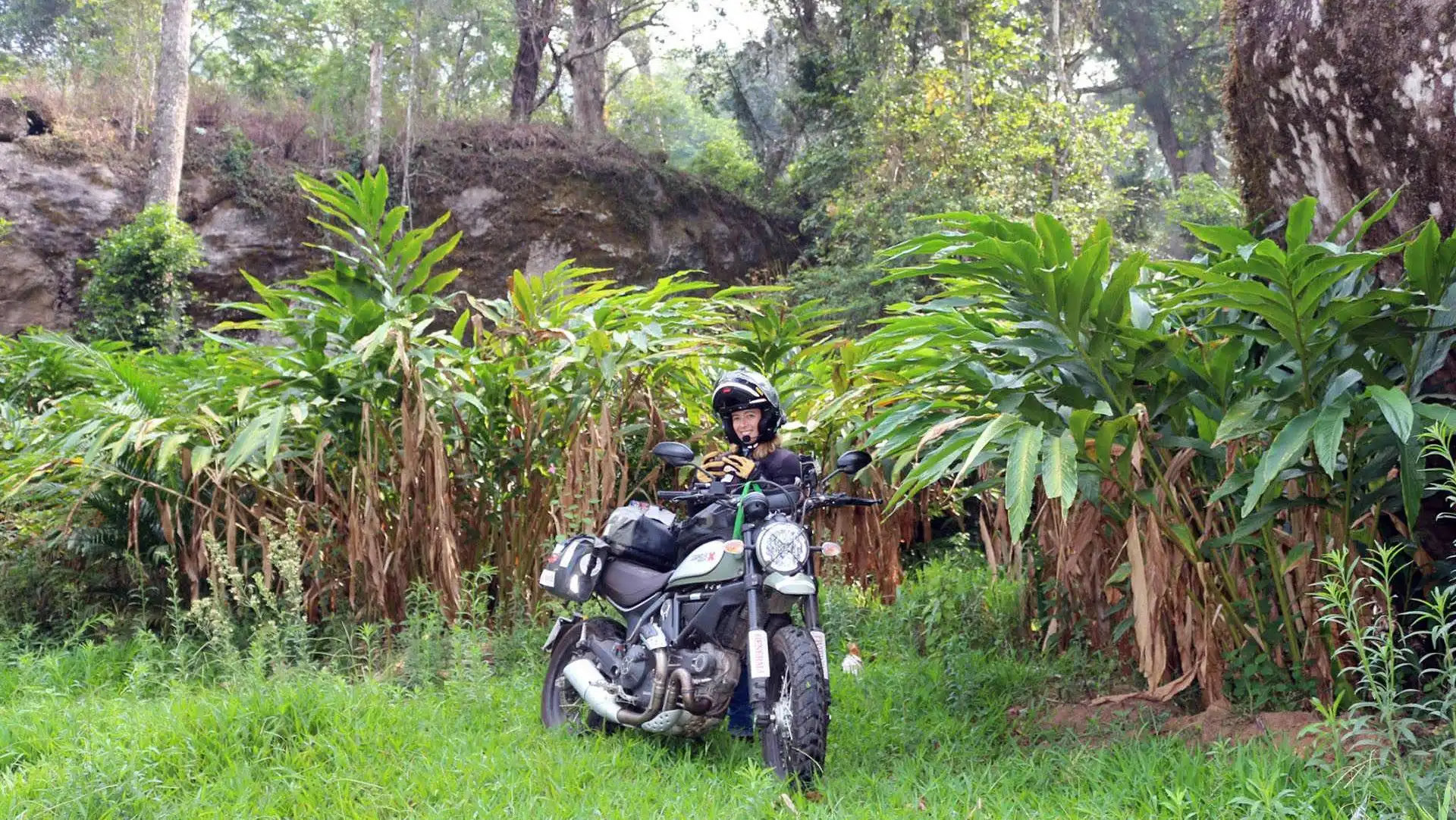 Plantaciones del sur de India en moto